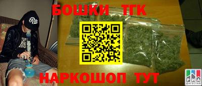 крисы Партизанск