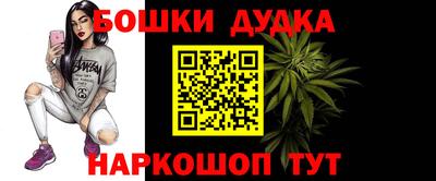 крисы Партизанск