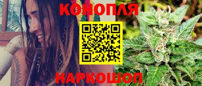стафф Пенза
