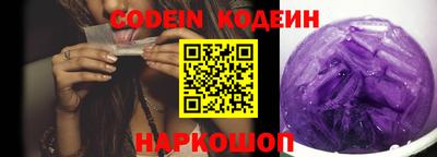 крисы Партизанск